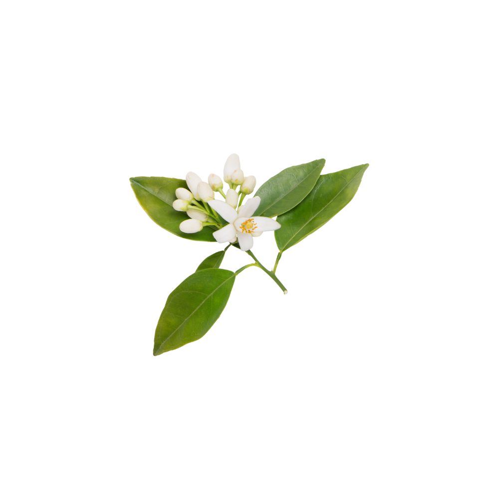 Neroli