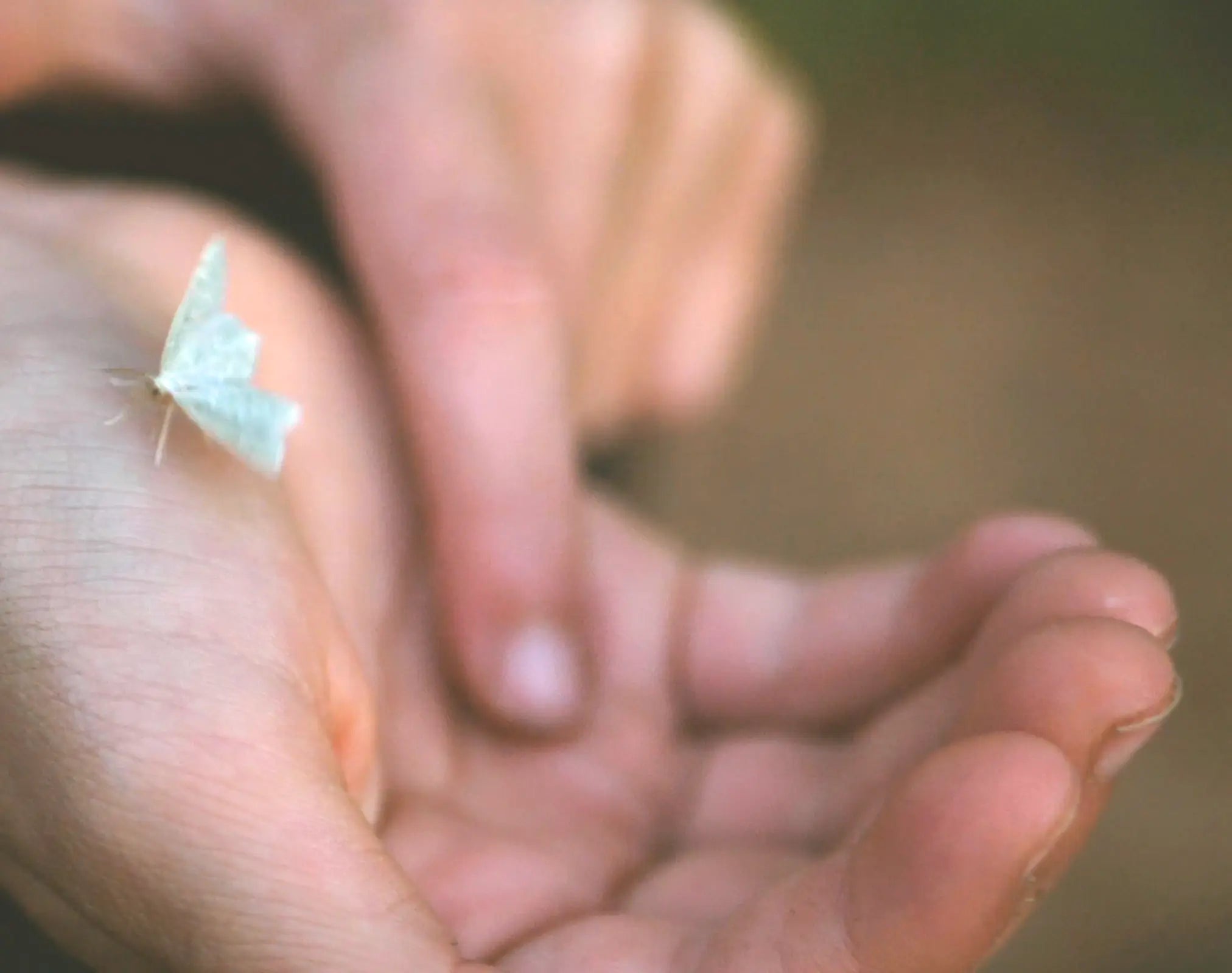 Aromatherapie bei Stress und Burnout