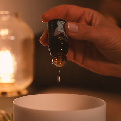 Die Kraft der Aromapflanze für die Frauengesundheit nutzen - vom Zyklus bis zu den Wechseljahren