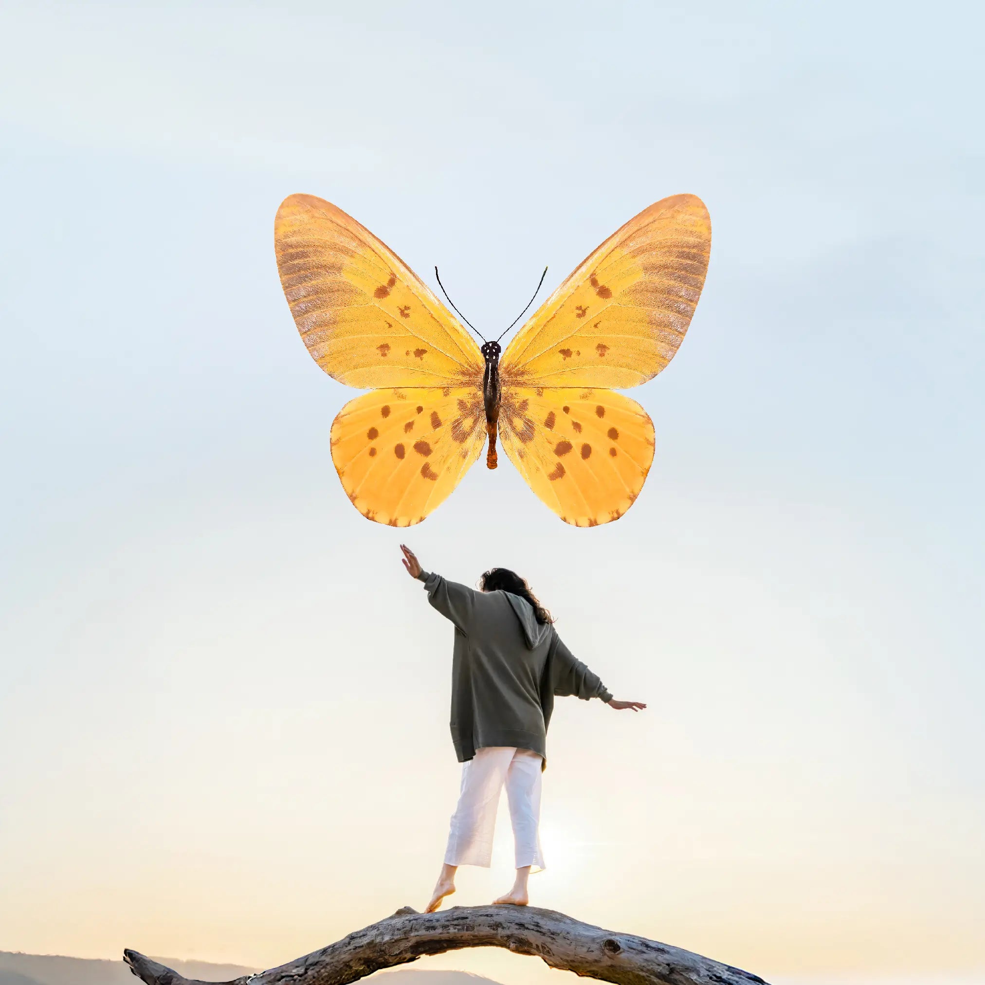 person balanciert auf ast mit großem orangen schmetterling im nachthimmel, galerie position 1, nachhaltige herstellung