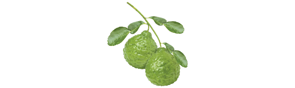 Bergamot