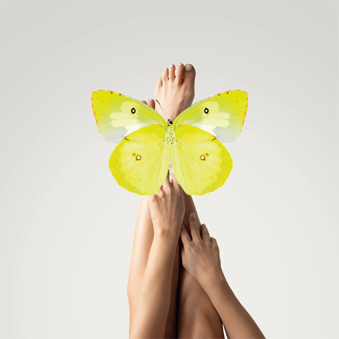 Zwei Hände halten zwei ausgestreckte Beine mit großem, gelb schimmerndem Schmetterling, Galerie Position 1, Schweizer Aromatherapie