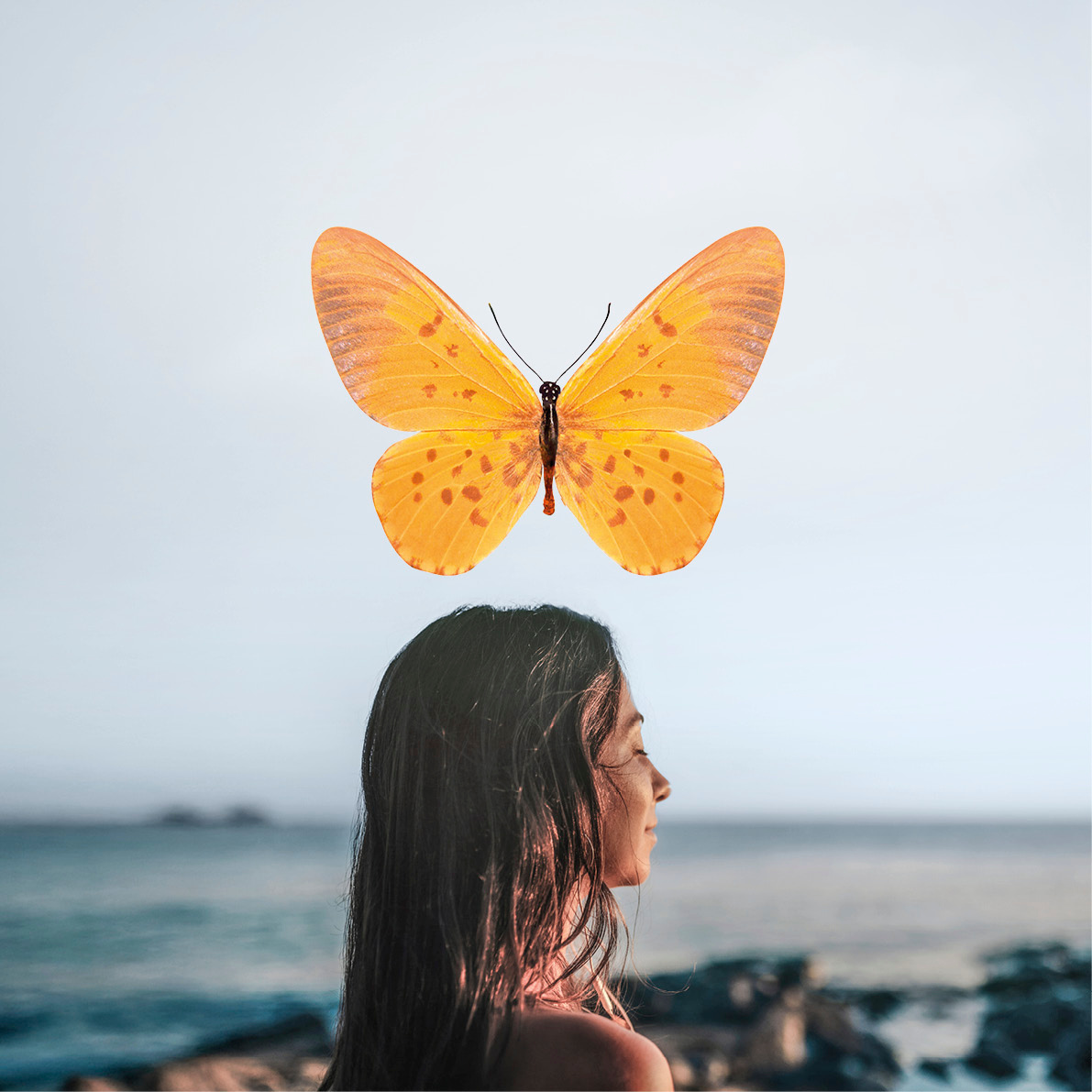 Frau mit langen Haaren blickt aufs Meer, orange Schmetterling schwebt über Kopf, Galerie Position 1, Schweizer Aromatherapie.