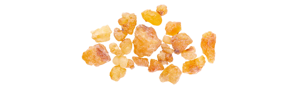 kleine bernsteinfarbene Harzstücke auf weißem Hintergrund, farfalla Aromatherapie, Bio ätherische Öle, zertifizierte Naturkosmetik, Galerie Position 1