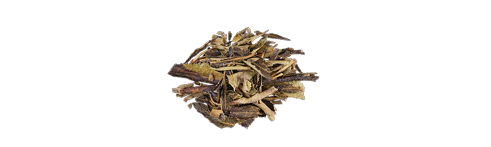 getrocknete weiße Wurzelsplitter auf weißem Hintergrund, farfalla Aromacare, Schweizer Aromatherapie, Bio ätherische Öle, Galerie Position 1