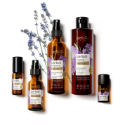 produkterange-ac-schlaf-schoen.webp