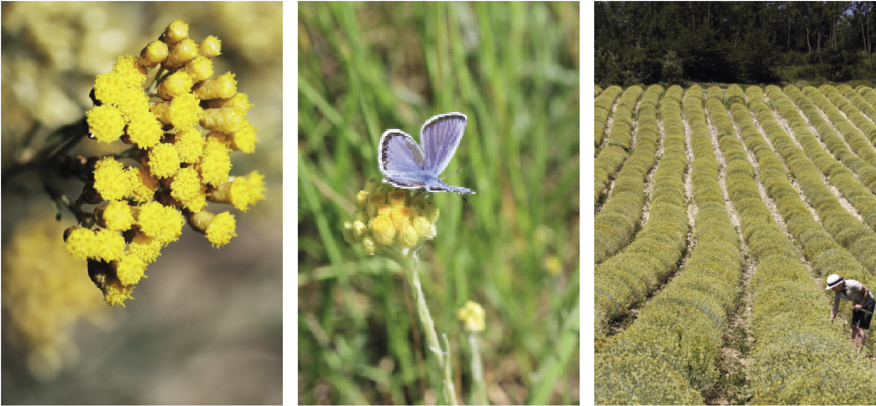 Bildschirmfoto 2019-03-07 um 16.43.59.png