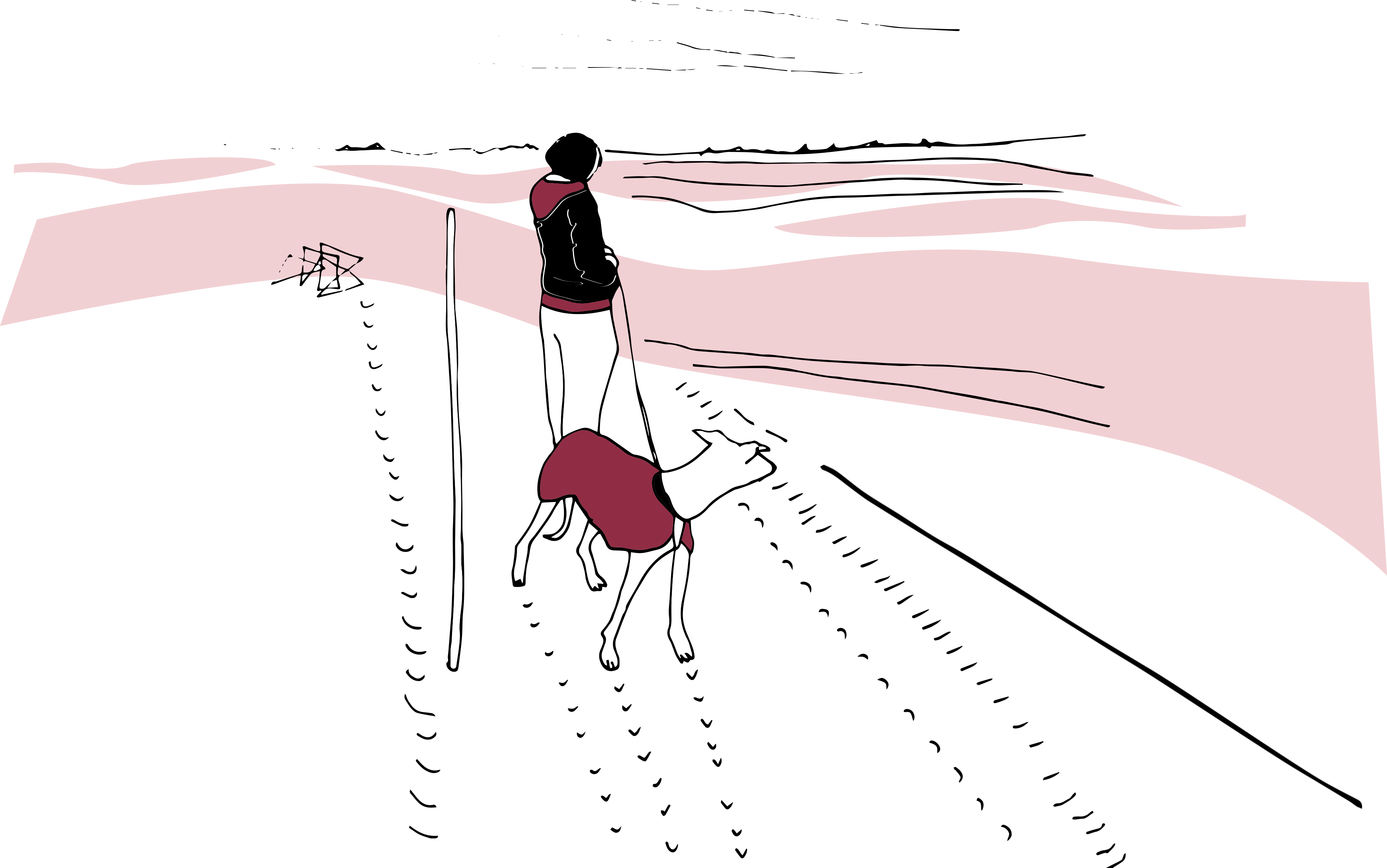 illu_sabineh_web.png